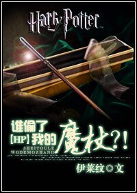 （HP同人）谁偷了我的魔杖？！
